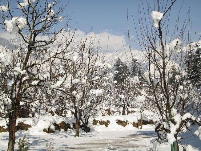 Treebo Trend Celebriti Manali Hotel Vashist Buitenkant foto