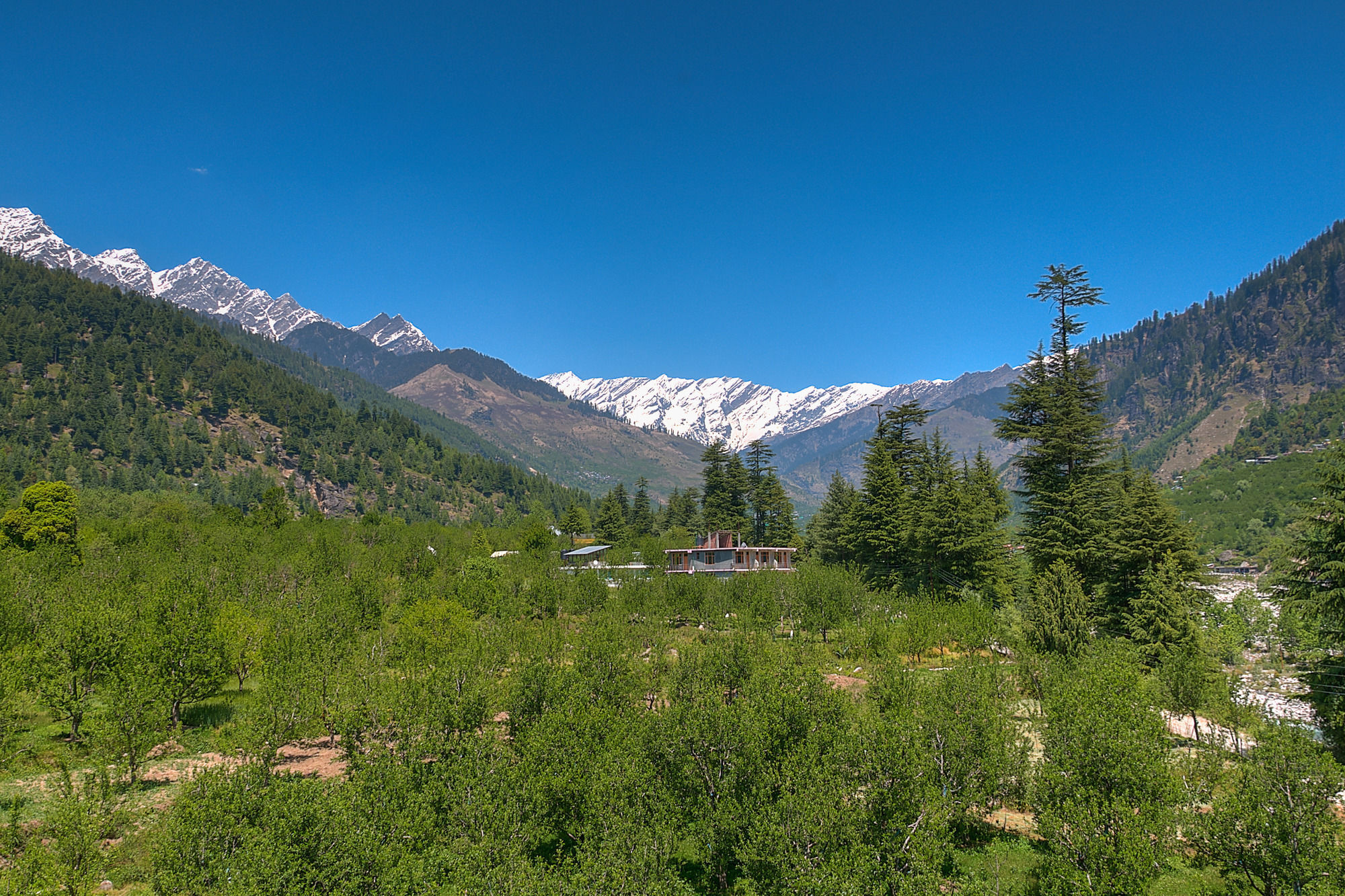 Treebo Trend Celebriti Manali Hotel Vashist Buitenkant foto